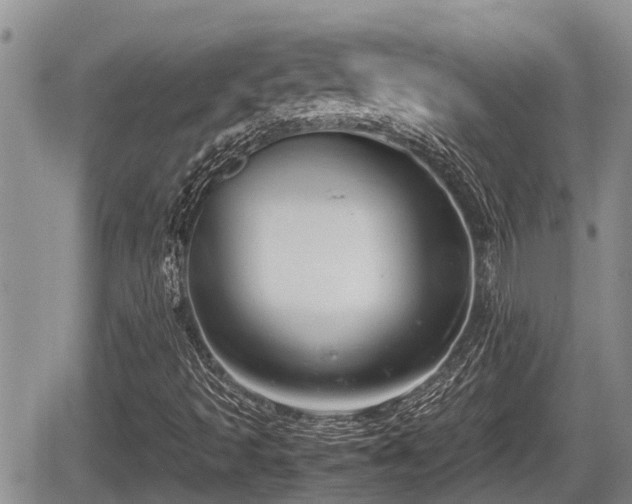 X0000065251493200602211211