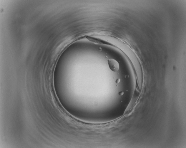 X0000065250001200602242101