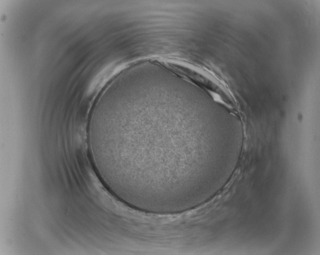 X0000065250002200602242101