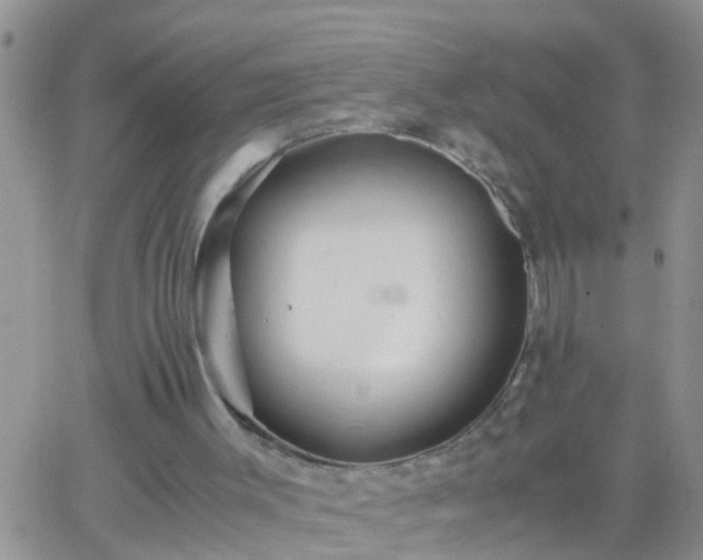 X0000065250003200602242101