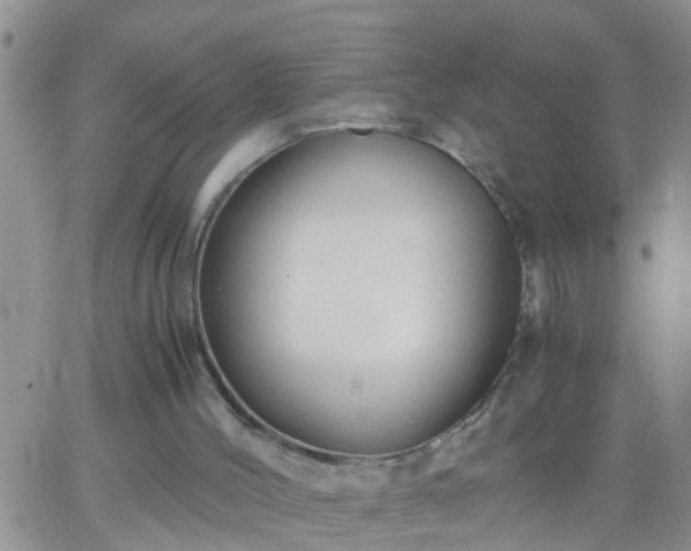 X0000065250004200602242101