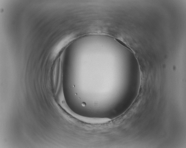 X0000065250005200602242101