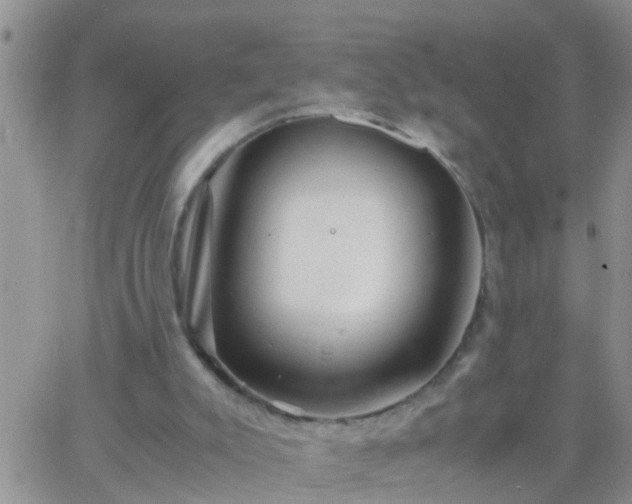 X0000065250007200602242101