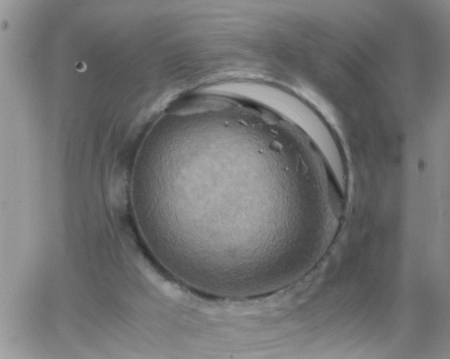 X0000065250009200602242101