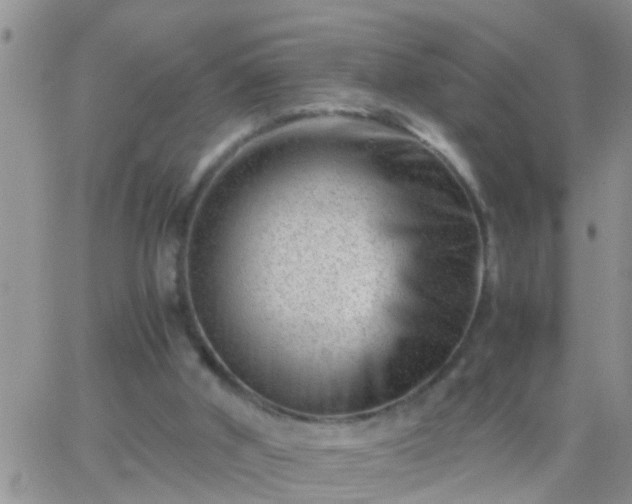 X0000065250010200602242101