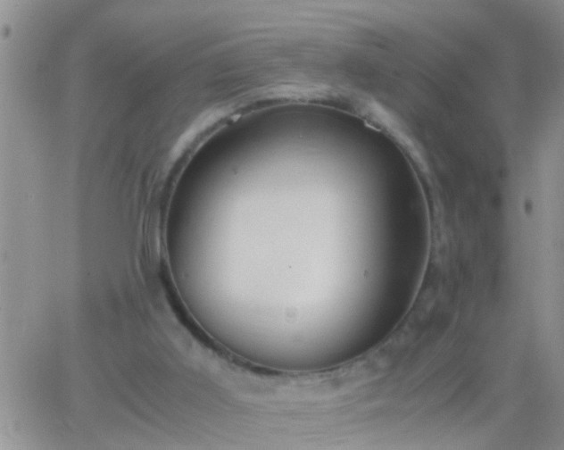 X0000065250011200602242101