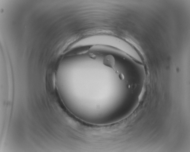 X0000065250013200602242101