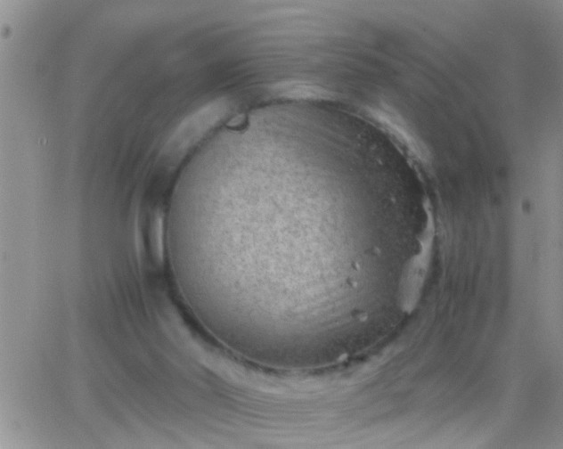 X0000065250014200602242101