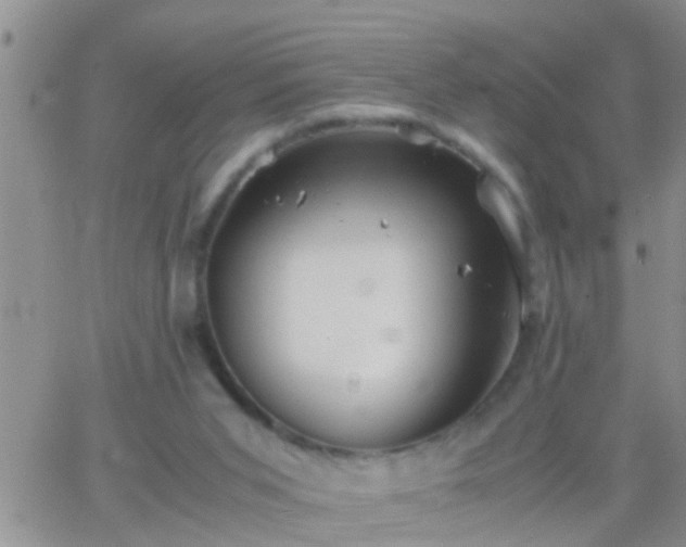 X0000065250015200602242101