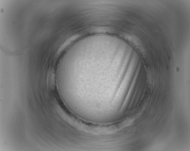 X0000065250016200602242101