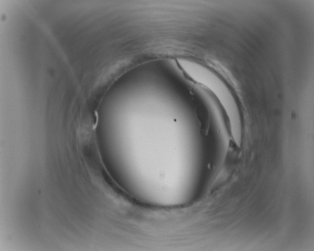 X0000065250017200602242101