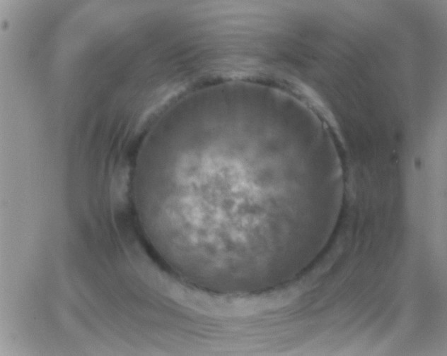 X0000065250018200602242101