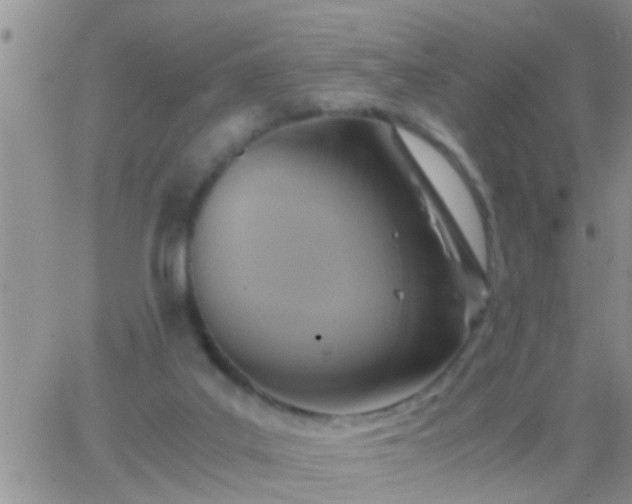 X0000065250019200602242101