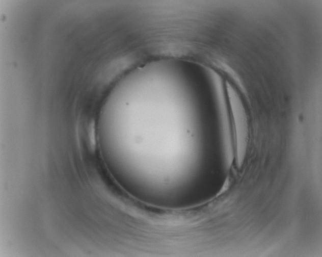 X0000065250020200602242101