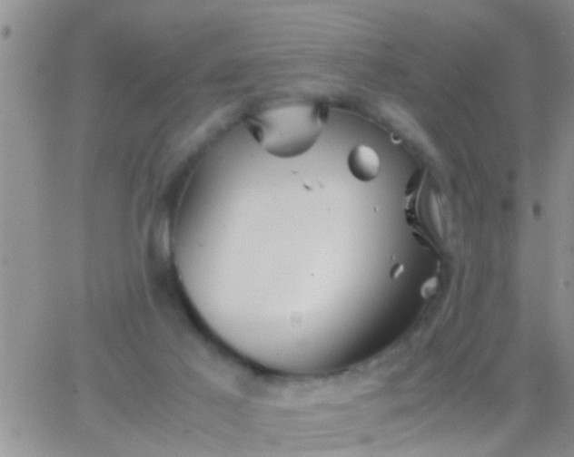 X0000065250021200602242101