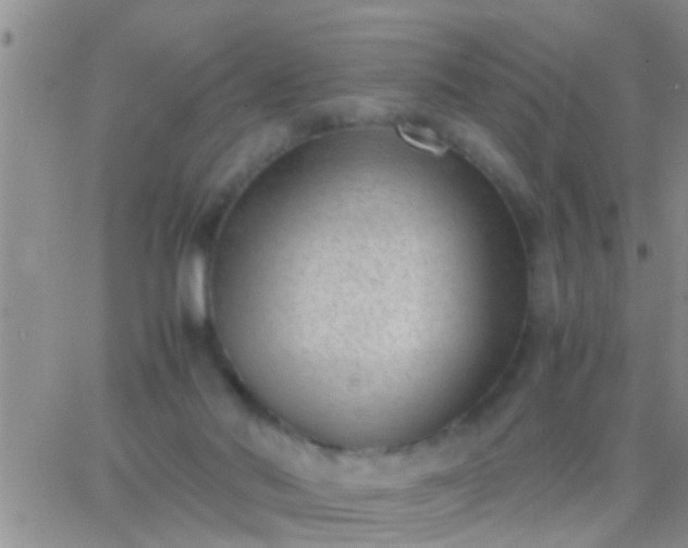 X0000065250022200602242101