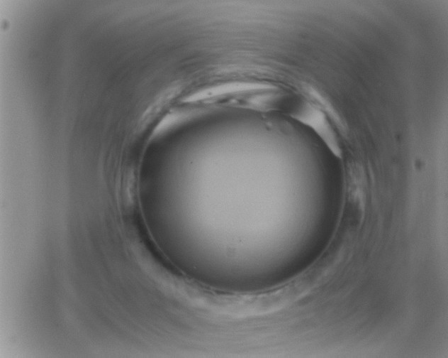 X0000065250023200602242101