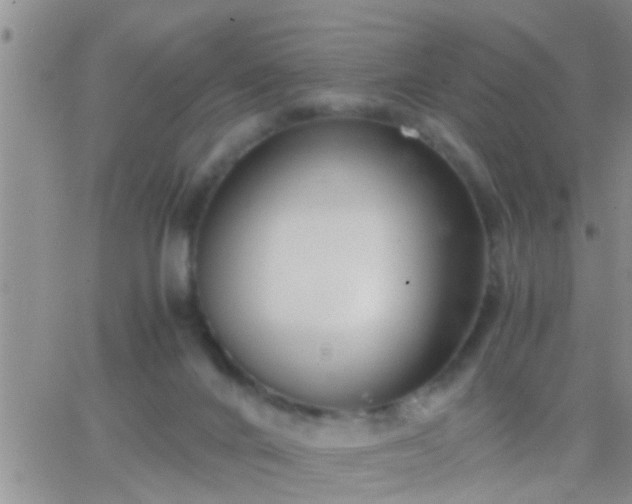 X0000065250024200602242101