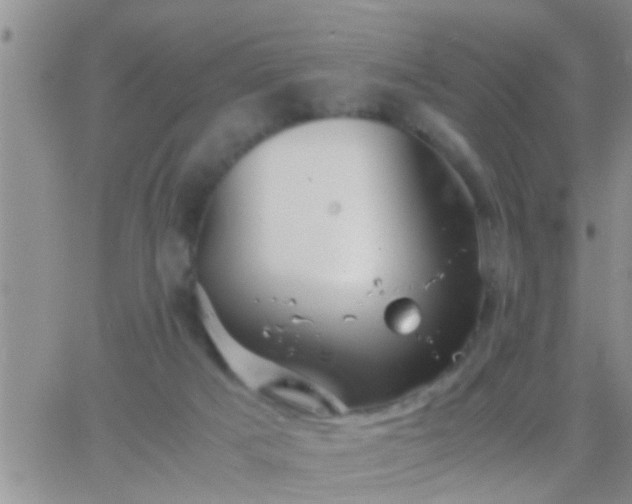 X0000065250025200602242101