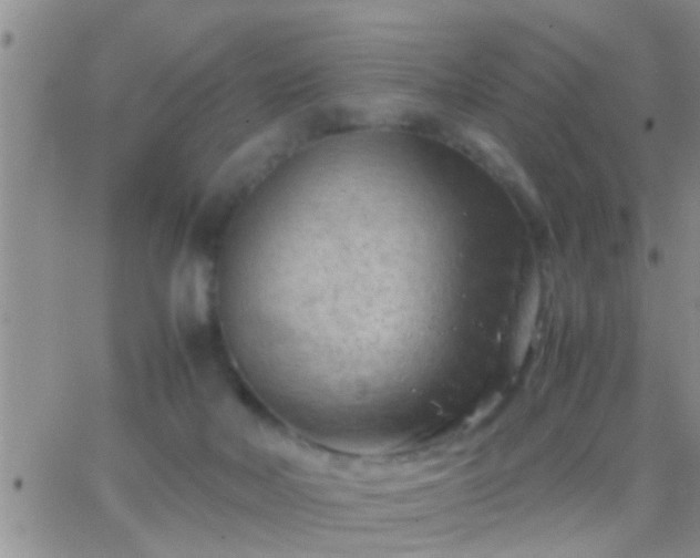 X0000065250026200602242101