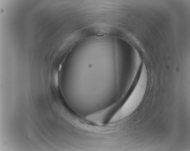 X0000065250027200602242101