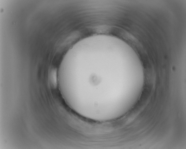 X0000065250028200602242101