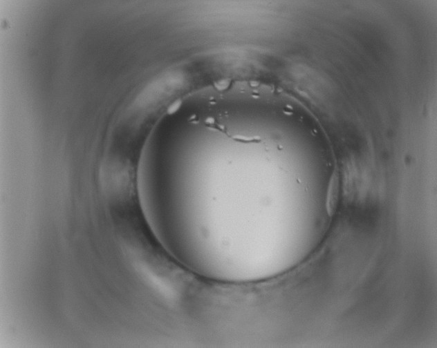 X0000065250029200602242101