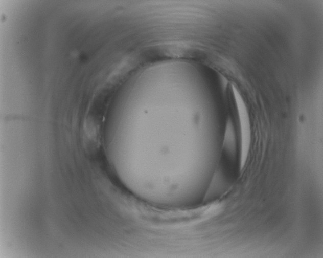 X0000065250031200602242101