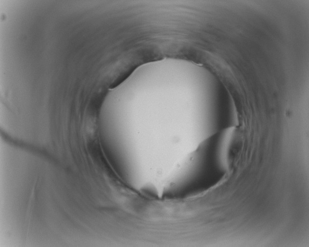 X0000065250033200602242101