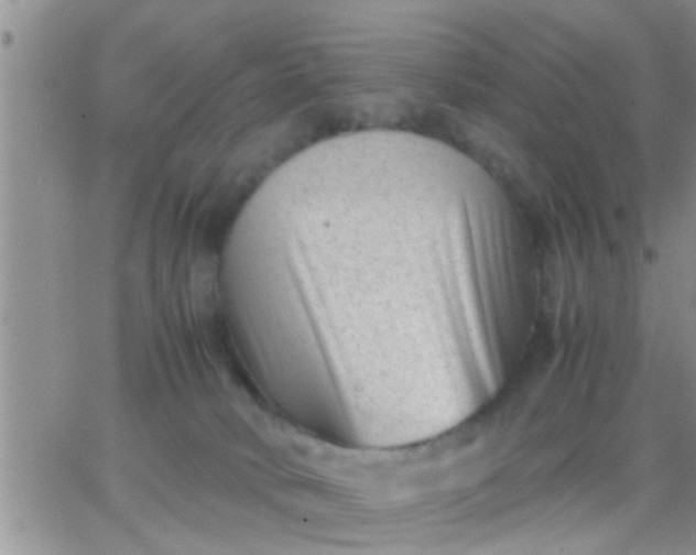 X0000065250034200602242101