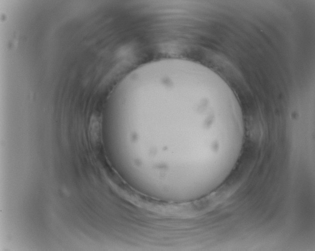 X0000065250036200602242101