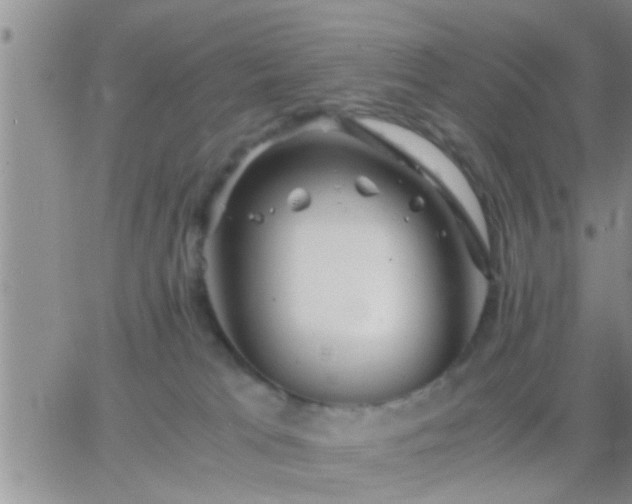 X0000065250037200602242101