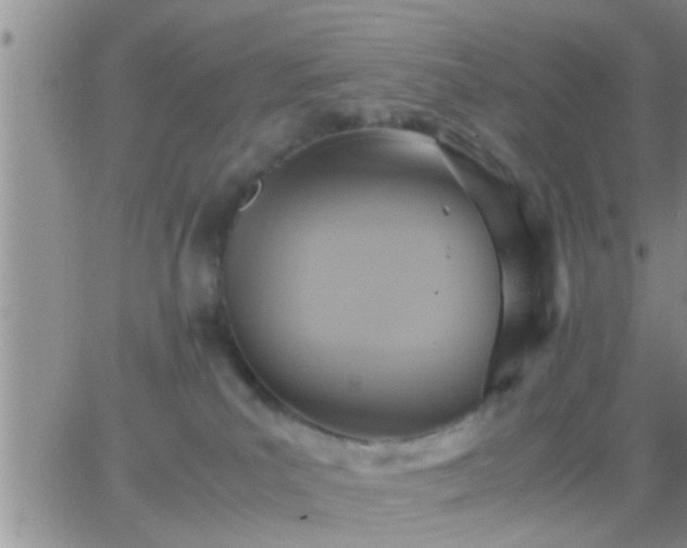 X0000065250039200602242101