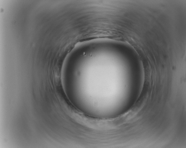 X0000065250040200602242101