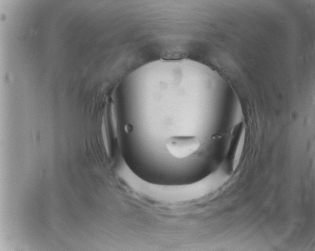 X0000065250041200602242101