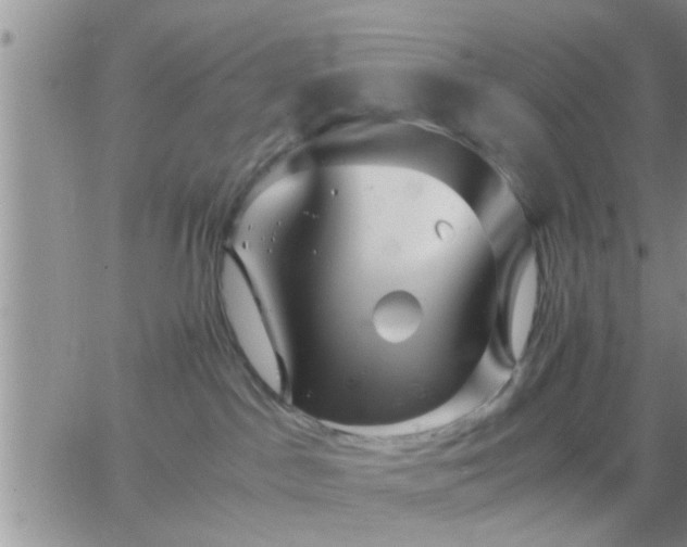 X0000065250045200602242100