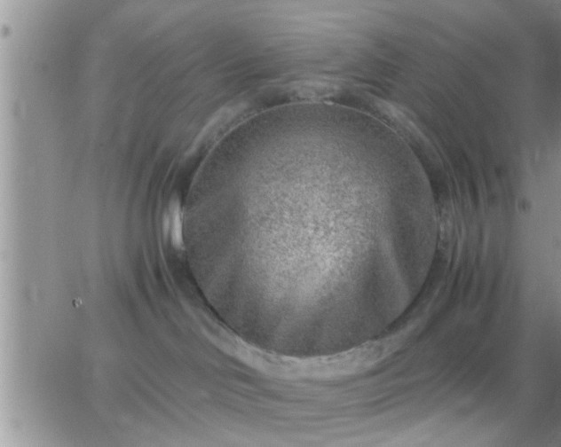 X0000065250046200602242100