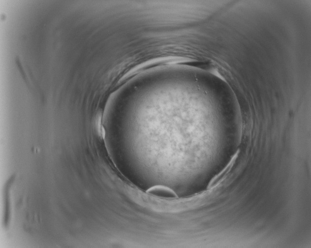 X0000065250047200602242100