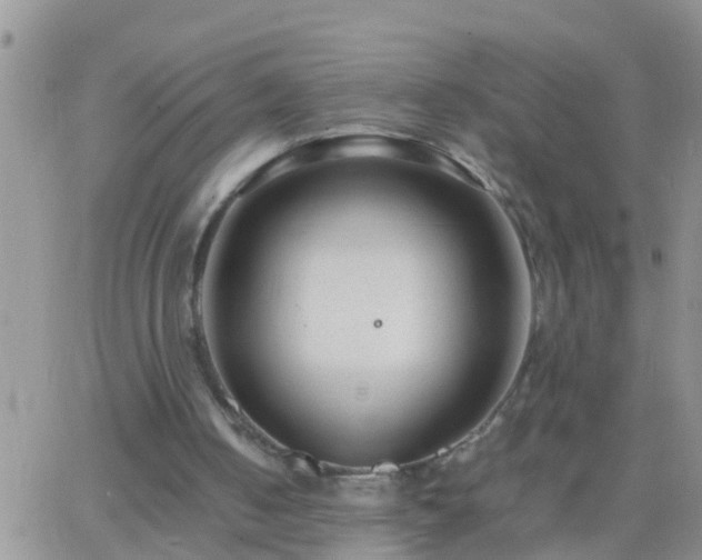 X0000065250050200602242100