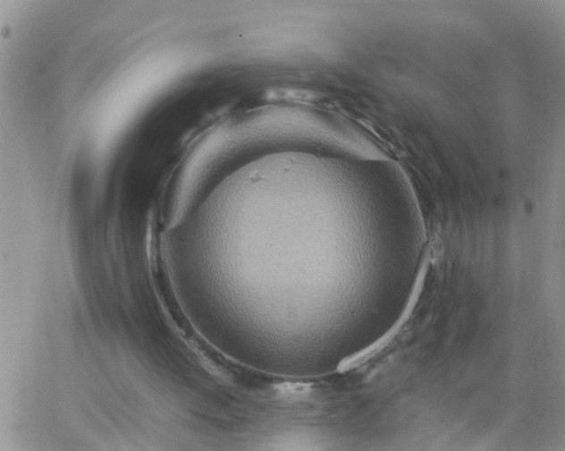 X0000065250052200602242100