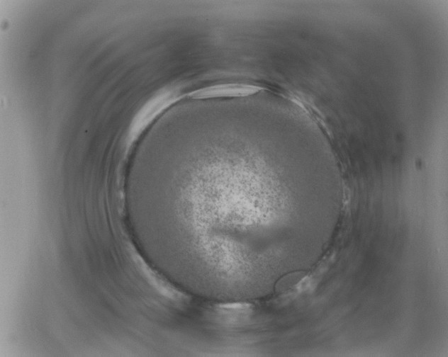 X0000065250053200602242100