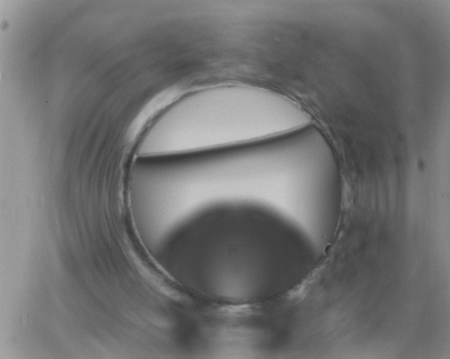 X0000065250054200602242100