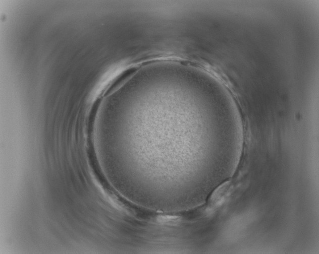 X0000065250055200602242100