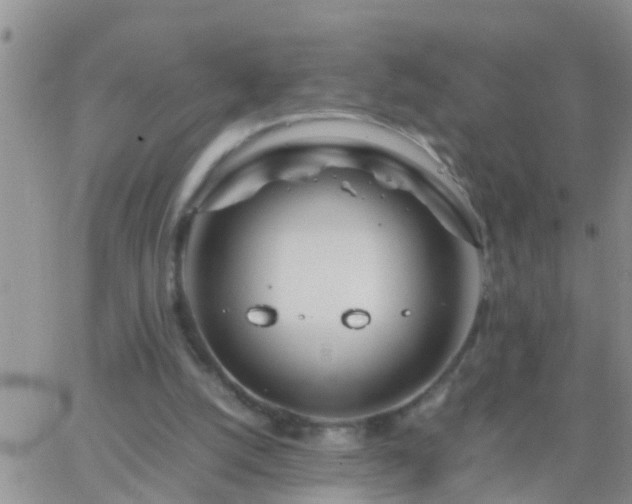 X0000065250056200602242100