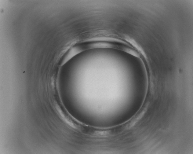 X0000065250057200602242100