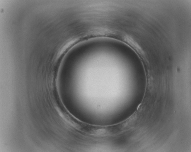 X0000065250058200602242100