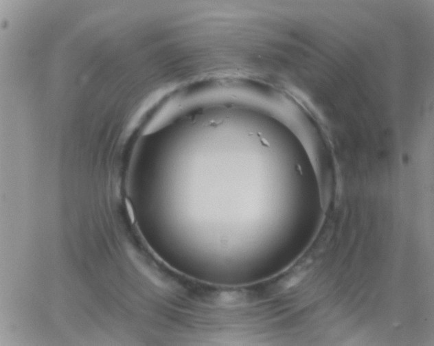 X0000065250060200602242100