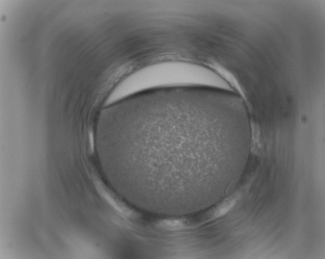 X0000065250061200602242100