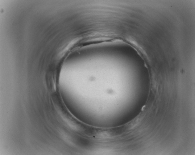 X0000065250062200602242100