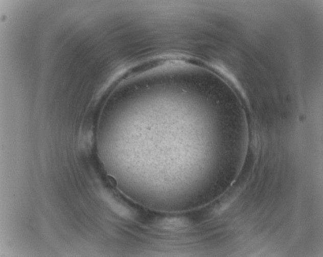 X0000065250063200602242100